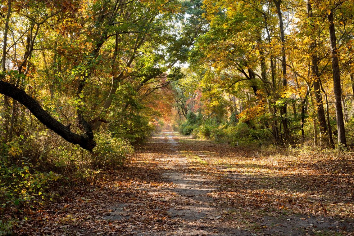 Long Island glänzt im goldenen Herbst