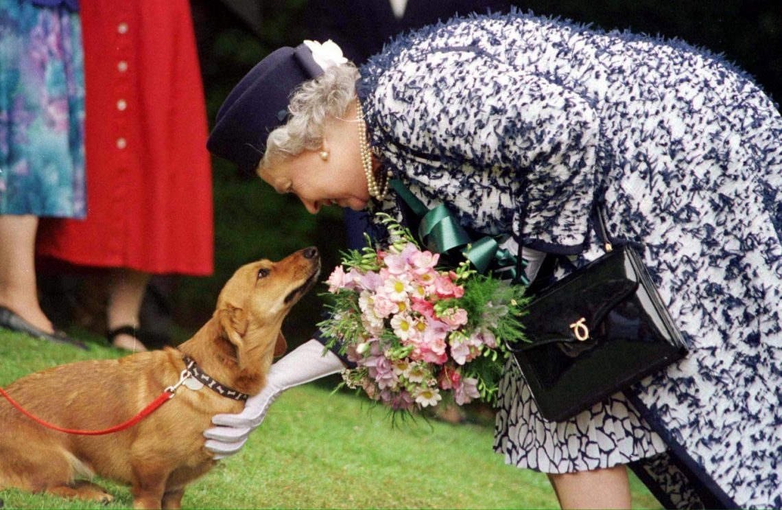 Die britische Königin Elizabeth II. streichelt einen ihrer Corgi-Hunde (Archivfoto).