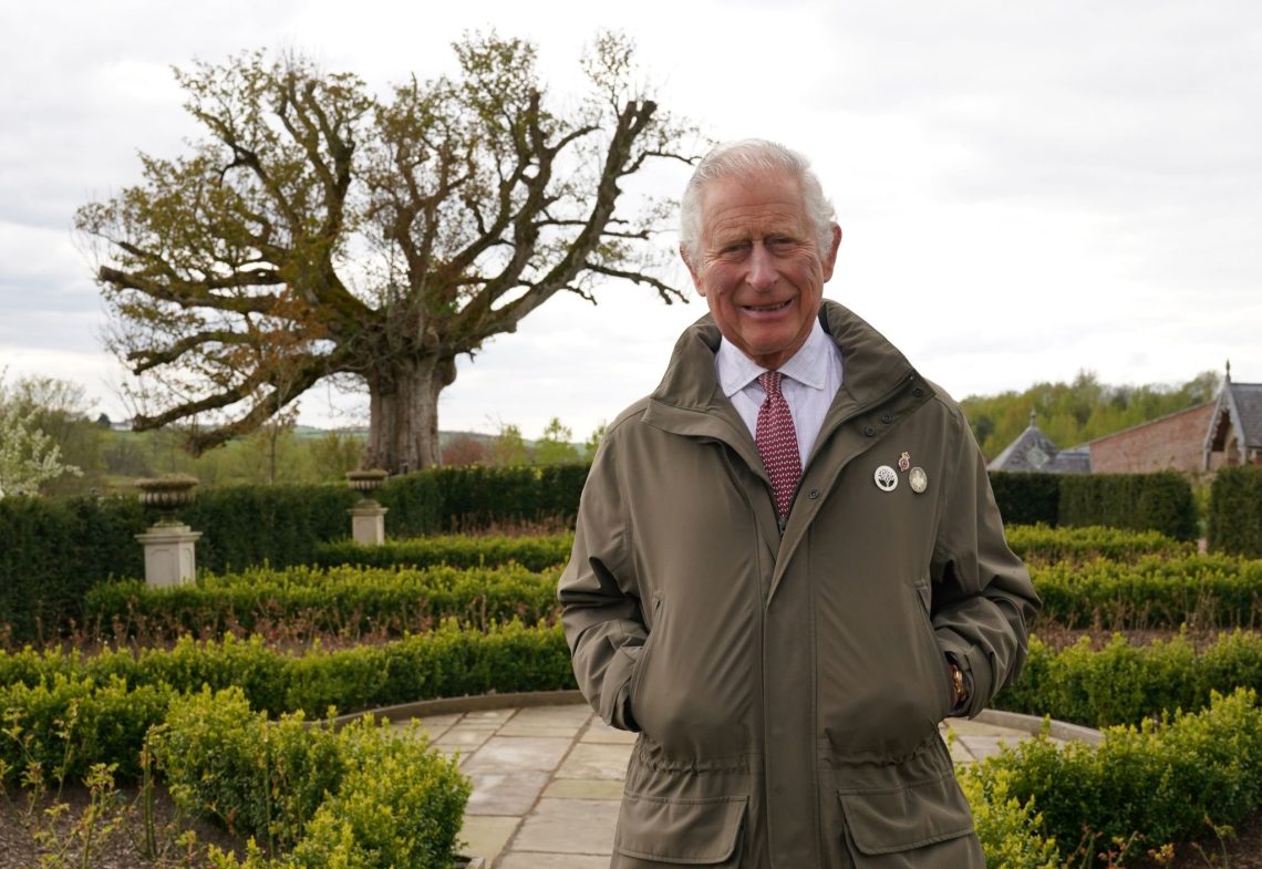 Prinz Charles von Wales neben der "Alten Platane" im Garten von Dumfries House in Edinburgh.