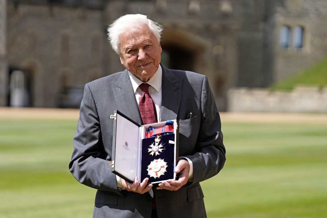 Sir David Attenborough nach seiner Ernennung zum Ritter des Großkreuzes des St. Michael und St. Georgs Ordens.